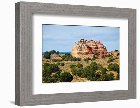 Vermilion Cliffs National Monument. White Pocket, multicolored formations of Navajo sandstone-Bernard Friel-Framed Photographic Print