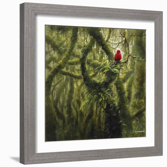 Vermilion Flycatcher-Harro Maass-Framed Giclee Print