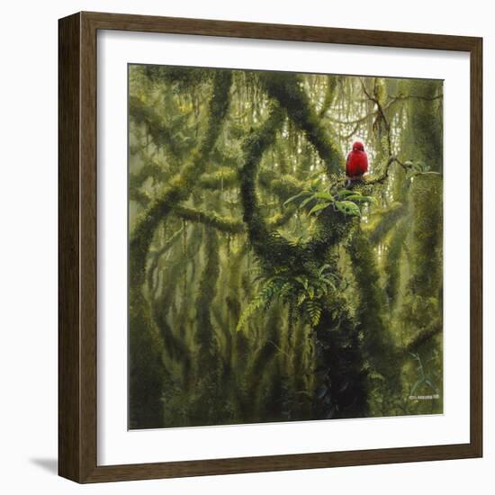 Vermilion Flycatcher-Harro Maass-Framed Giclee Print