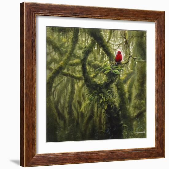 Vermilion Flycatcher-Harro Maass-Framed Giclee Print