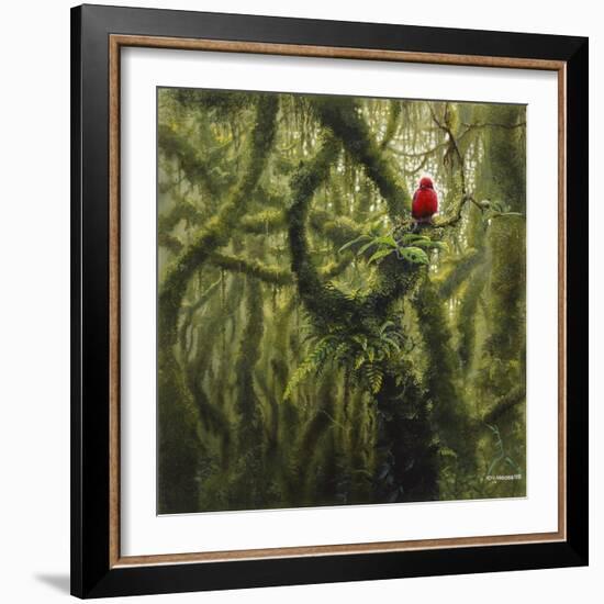 Vermilion Flycatcher-Harro Maass-Framed Giclee Print