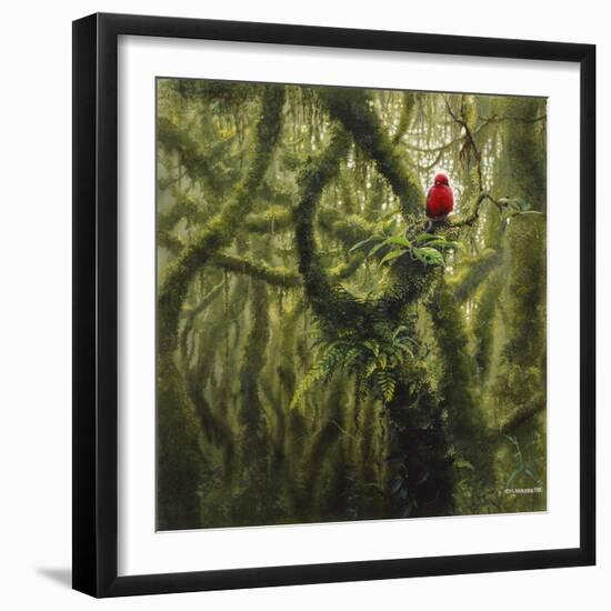 Vermilion Flycatcher-Harro Maass-Framed Giclee Print