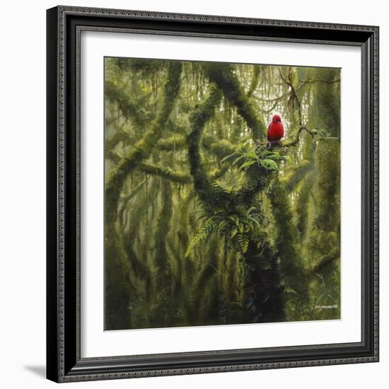 Vermilion Flycatcher-Harro Maass-Framed Giclee Print