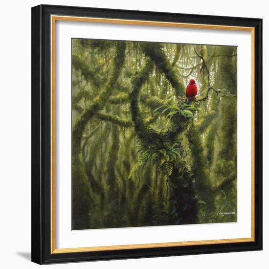 Vermilion Flycatcher-Harro Maass-Framed Giclee Print