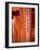 Vermillion Torii Gates, Fushimi-Inari Taisha, Kyoto, Japan, Asia-Ben Pipe-Framed Photographic Print