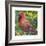 Vermillion-Annelein Beukenkamp-Framed Giclee Print