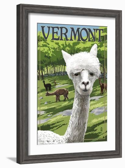 Vermont - Alpaca Scene-Lantern Press-Framed Art Print