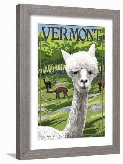 Vermont - Alpaca Scene-Lantern Press-Framed Art Print