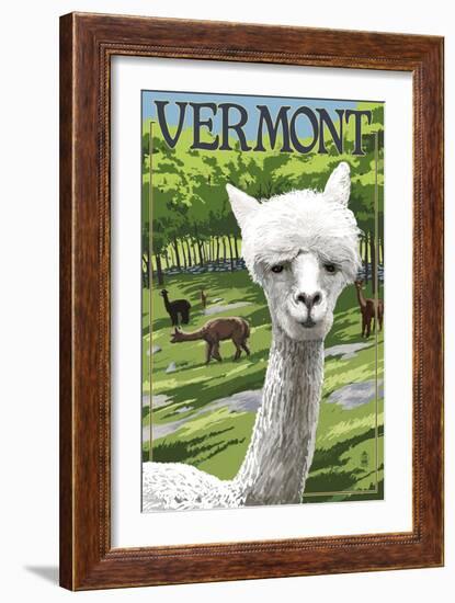 Vermont - Alpaca Scene-Lantern Press-Framed Art Print