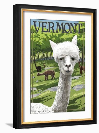 Vermont - Alpaca Scene-Lantern Press-Framed Art Print