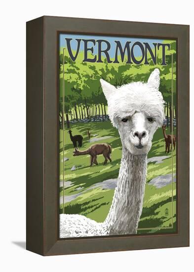 Vermont - Alpaca Scene-Lantern Press-Framed Stretched Canvas