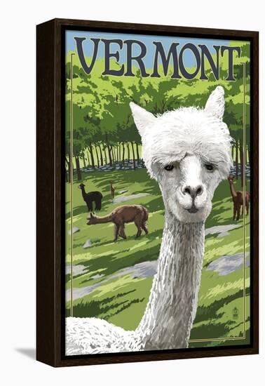 Vermont - Alpaca Scene-Lantern Press-Framed Stretched Canvas