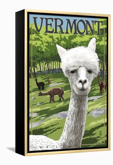 Vermont - Alpaca Scene-Lantern Press-Framed Stretched Canvas