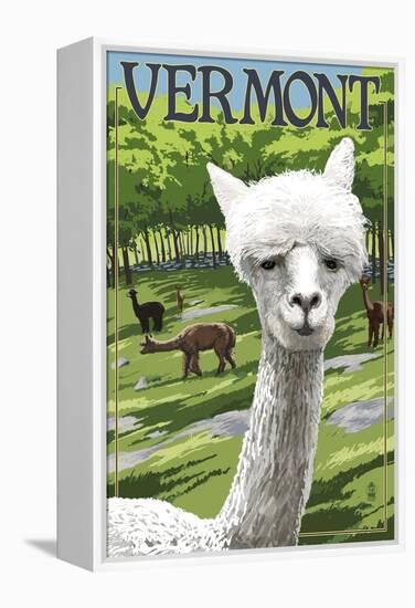 Vermont - Alpaca Scene-Lantern Press-Framed Stretched Canvas