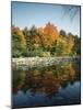 Vermont, Autumn Colors of Sugar Maple Trees Along a Stream-Christopher Talbot Frank-Mounted Photographic Print