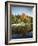 Vermont, Autumn Colors of Sugar Maple Trees Along a Stream-Christopher Talbot Frank-Framed Photographic Print