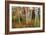 Vermont Birches-Larry Malvin-Framed Photographic Print