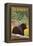 Vermont - Black Bear in Forest-Lantern Press-Framed Stretched Canvas