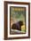 Vermont - Black Bear in Forest-Lantern Press-Framed Art Print