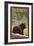 Vermont - Black Bear in Forest-Lantern Press-Framed Art Print