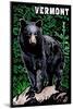 Vermont - Black Bear - Scratchboard-Lantern Press-Mounted Art Print