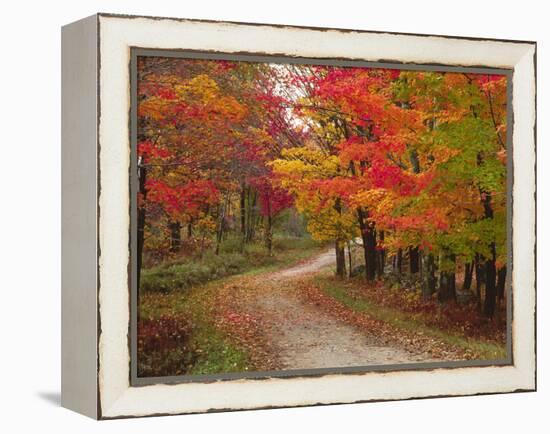 Vermont Country Road in Fall, USA-Charles Sleicher-Framed Premier Image Canvas