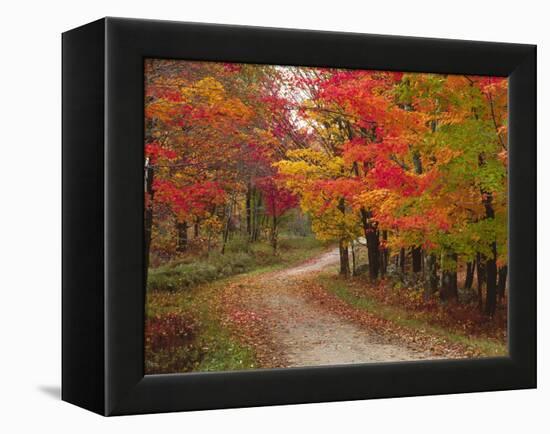 Vermont Country Road in Fall, USA-Charles Sleicher-Framed Premier Image Canvas