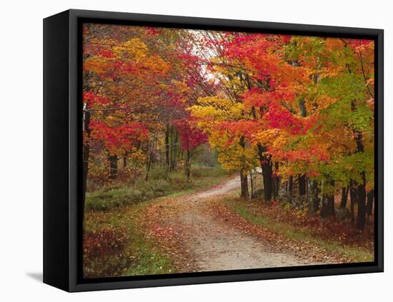 Vermont Country Road in Fall, USA-Charles Sleicher-Framed Premier Image Canvas