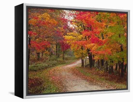 Vermont Country Road in Fall, USA-Charles Sleicher-Framed Premier Image Canvas