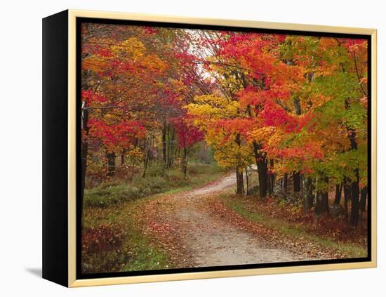 Vermont Country Road in Fall, USA-Charles Sleicher-Framed Premier Image Canvas