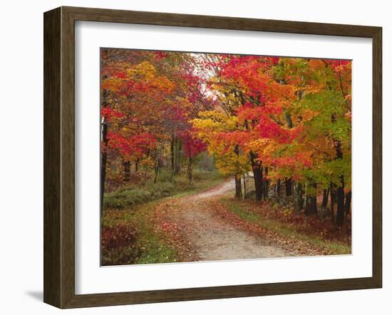 Vermont Country Road in Fall, USA-Charles Sleicher-Framed Photographic Print