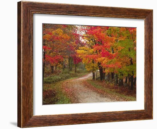 Vermont Country Road in Fall, USA-Charles Sleicher-Framed Photographic Print