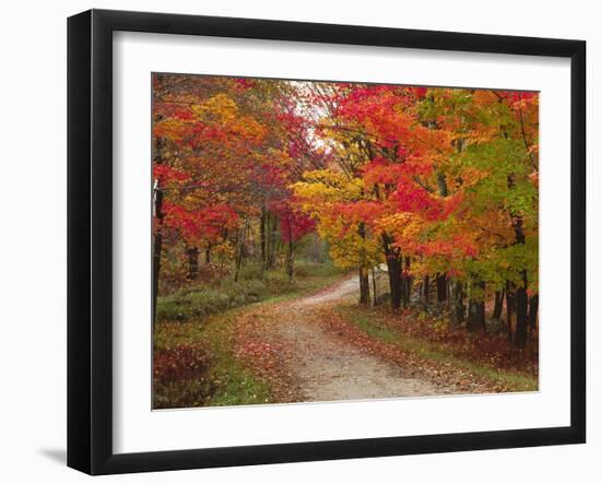 Vermont Country Road in Fall, USA-Charles Sleicher-Framed Photographic Print
