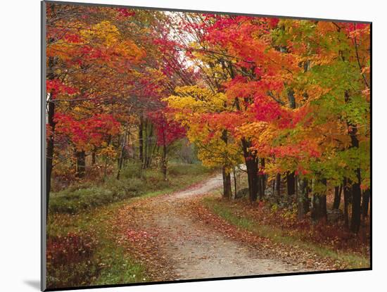 Vermont Country Road in Fall, USA-Charles Sleicher-Mounted Photographic Print