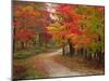 Vermont Country Road in Fall, USA-Charles Sleicher-Mounted Photographic Print