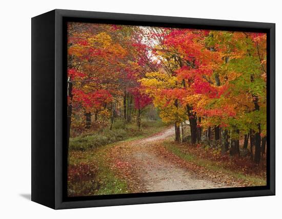 Vermont Country Road in Fall, USA-Charles Sleicher-Framed Premier Image Canvas