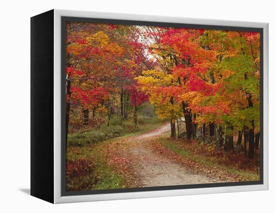 Vermont Country Road in Fall, USA-Charles Sleicher-Framed Premier Image Canvas