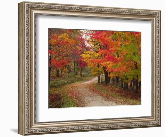 Vermont Country Road in Fall, USA-Charles Sleicher-Framed Photographic Print