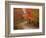 Vermont Country Road in Fall, USA-Charles Sleicher-Framed Photographic Print