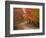 Vermont Country Road in Fall, USA-Charles Sleicher-Framed Photographic Print