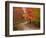 Vermont Country Road in Fall, USA-Charles Sleicher-Framed Photographic Print