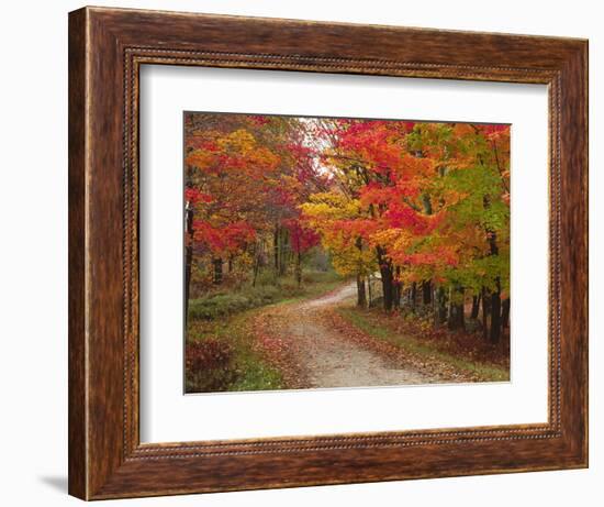 Vermont Country Road in Fall, USA-Charles Sleicher-Framed Photographic Print
