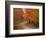 Vermont Country Road in Fall, USA-Charles Sleicher-Framed Photographic Print