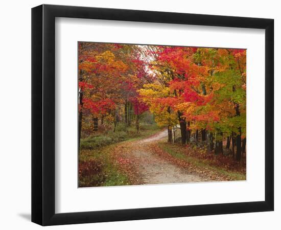 Vermont Country Road in Fall, USA-Charles Sleicher-Framed Photographic Print