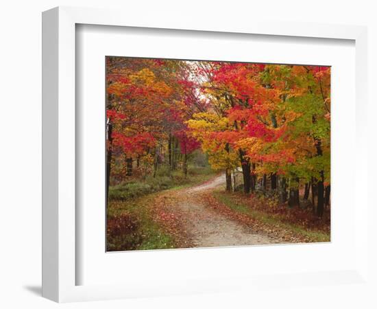 Vermont Country Road in Fall, USA-Charles Sleicher-Framed Photographic Print