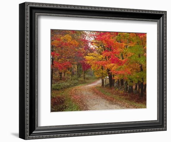 Vermont Country Road in Fall, USA-Charles Sleicher-Framed Photographic Print