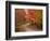 Vermont Country Road in Fall, USA-Charles Sleicher-Framed Photographic Print