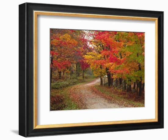 Vermont Country Road in Fall, USA-Charles Sleicher-Framed Photographic Print