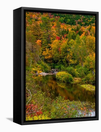 Vermont Fall #1-Steven Maxx-Framed Premier Image Canvas