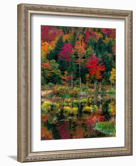 Vermont Fall #2-Steven Maxx-Framed Photographic Print